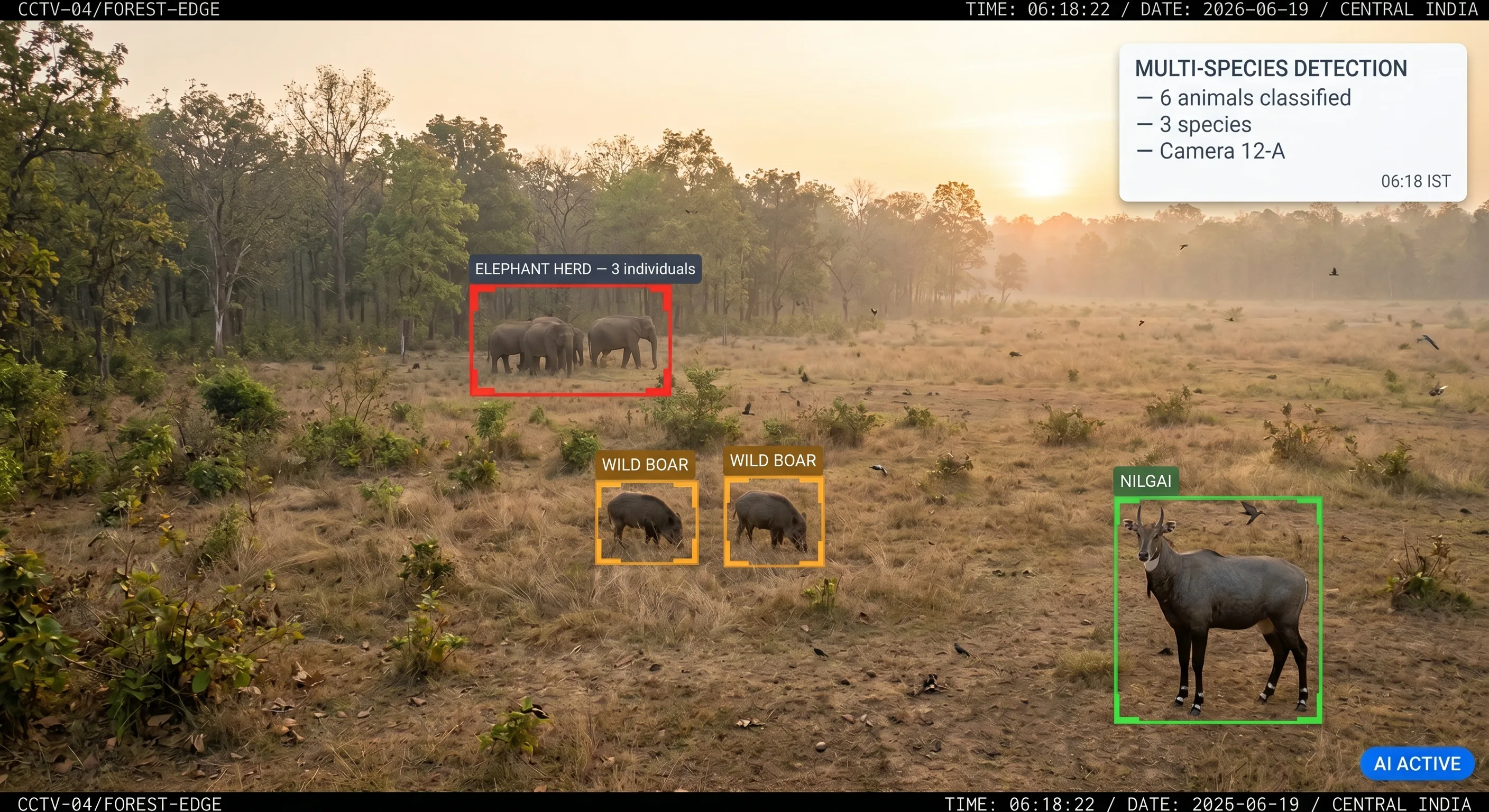 Tentovision AI species identification labelling an elephant and a wild boar from a single camera feed in real time